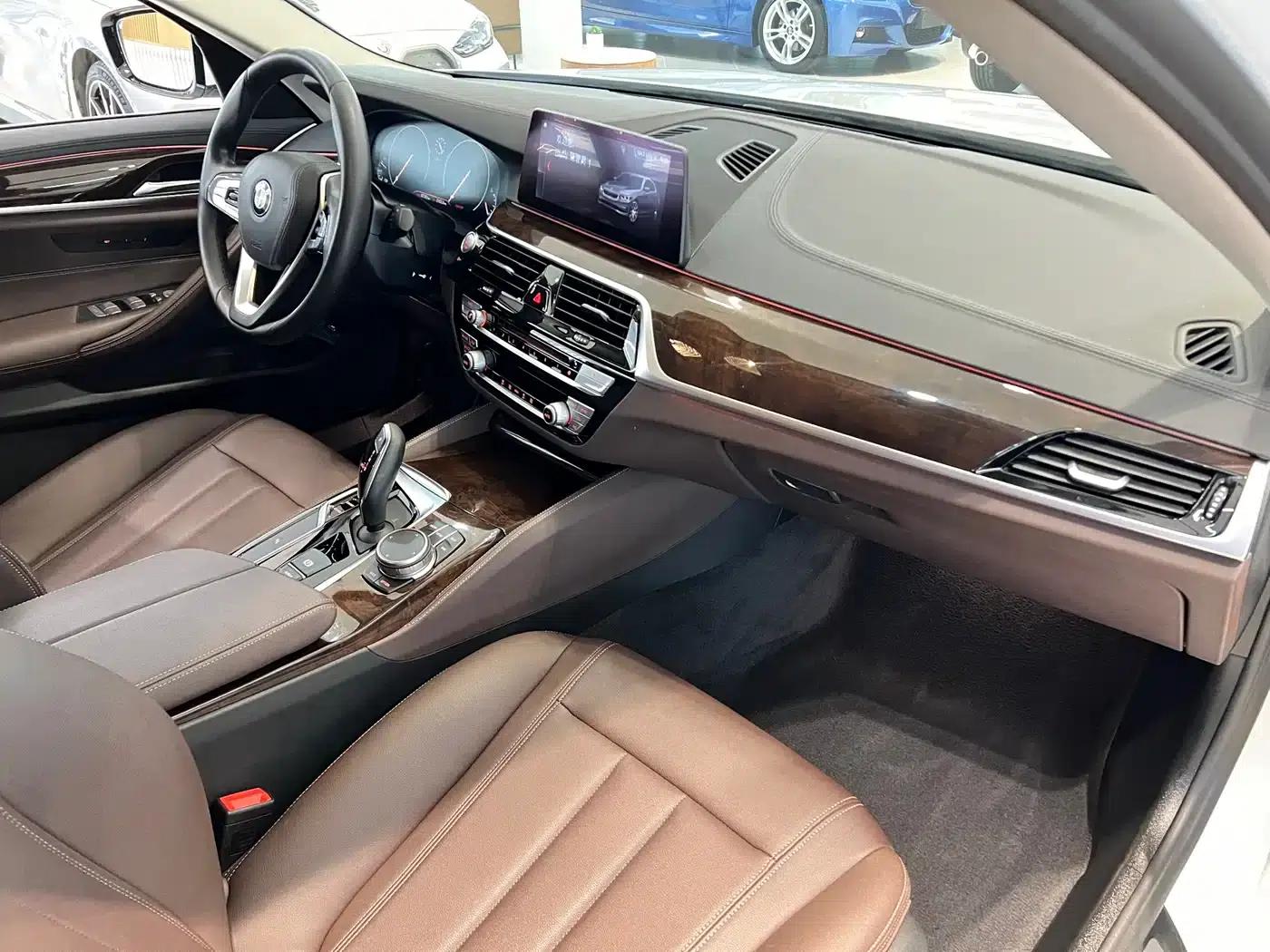 2019 BMW 5 Series 525Li Luxury Package — миниатюра 9