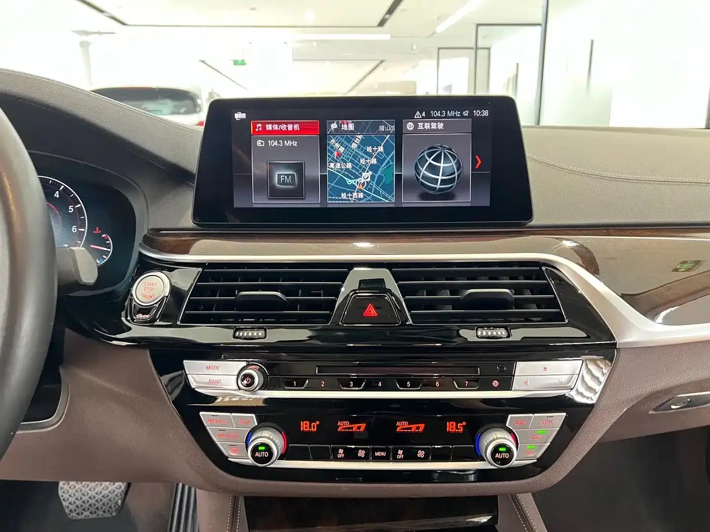 2019 BMW 5 Series 525Li Luxury Package — миниатюра 10