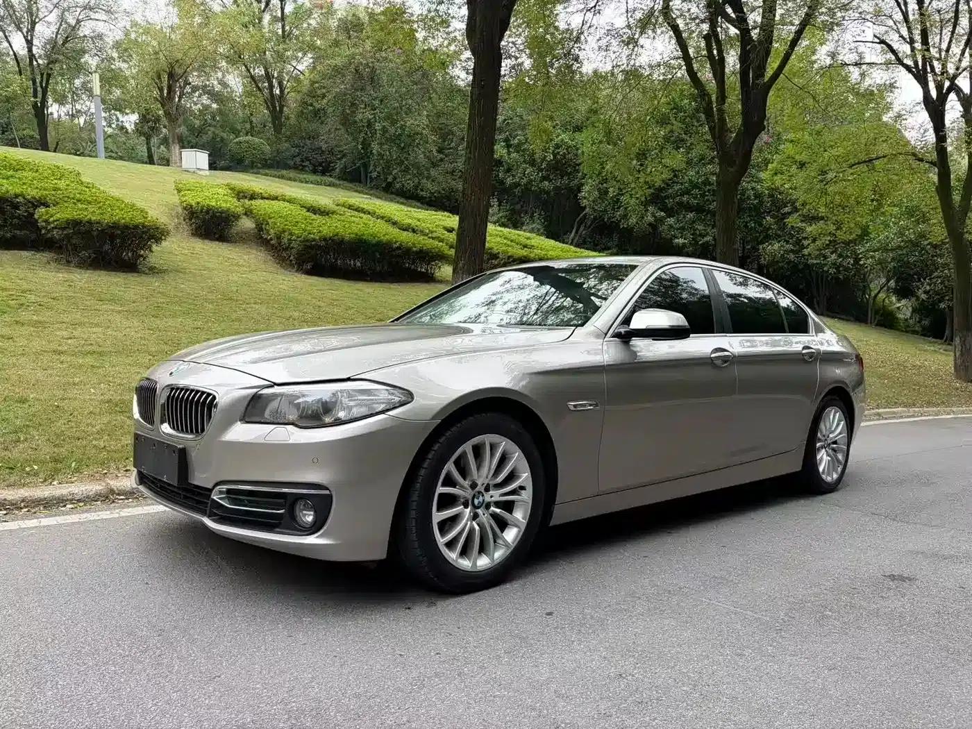 2014 BMW 5 Series 525Li Luxury Design Package — миниатюра 1