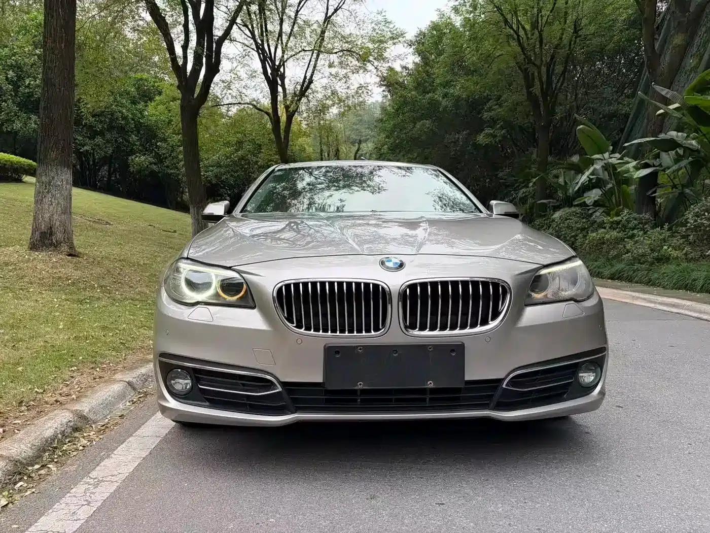 2014 BMW 5 Series 525Li Luxury Design Package — миниатюра 2