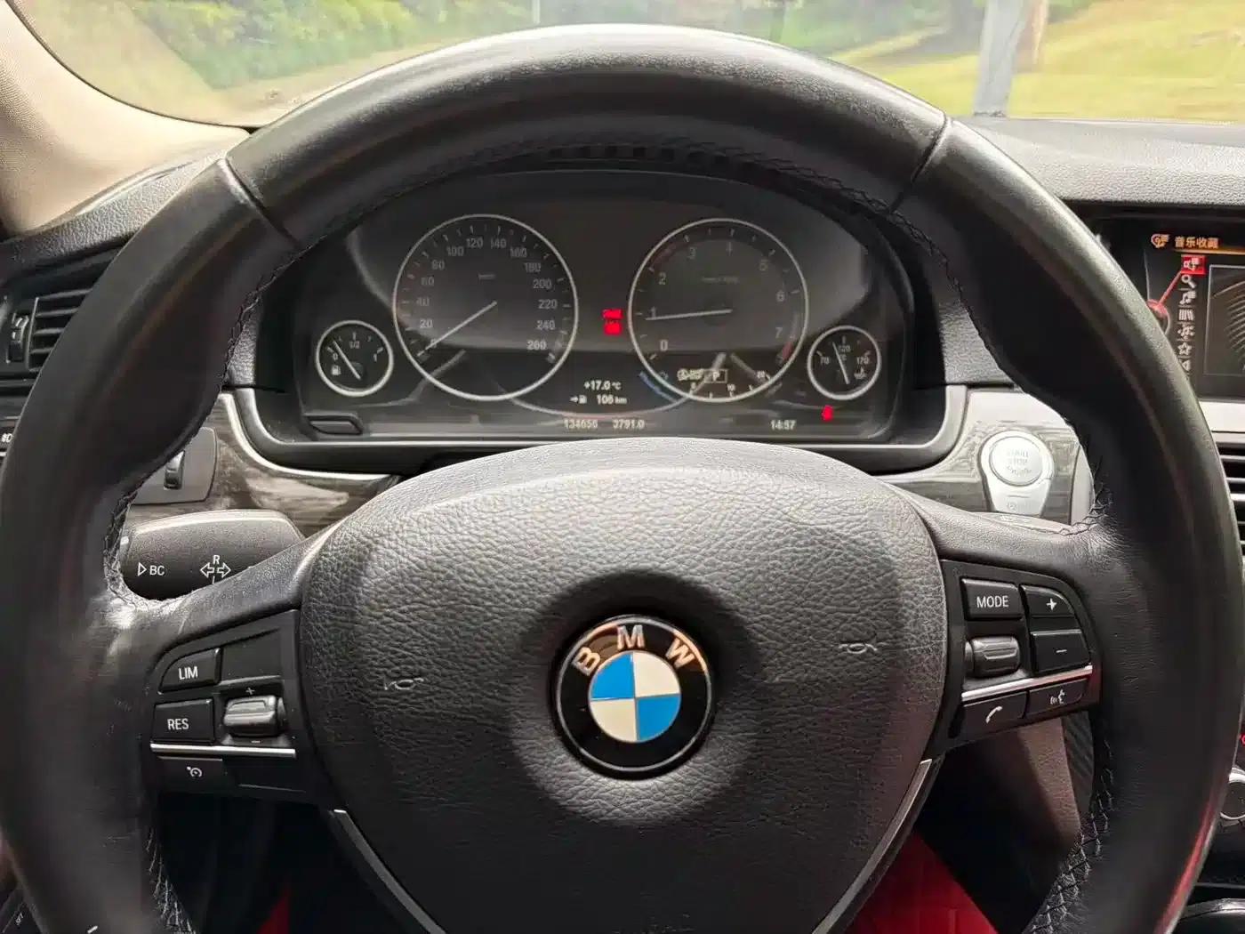 2014 BMW 5 Series 525Li Luxury Design Package — миниатюра 8