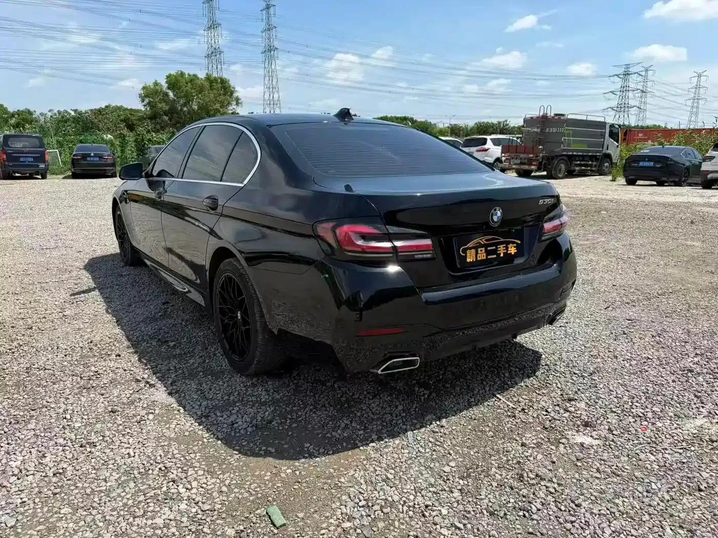 BMW 5 Series 2012 530Li Leading Edition — миниатюра 7