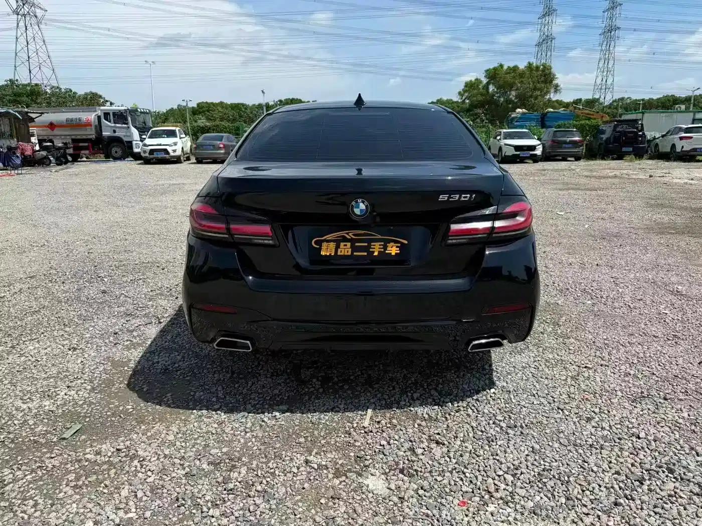 BMW 5 Series 2012 530Li Leading Edition — миниатюра 8
