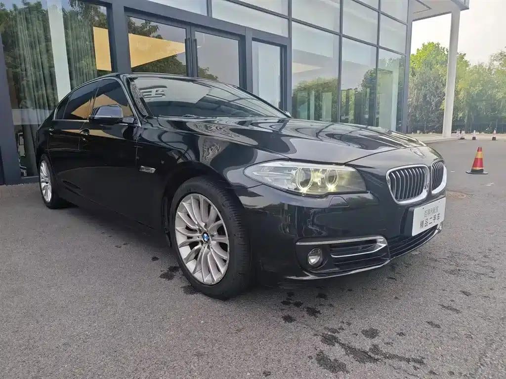 2017 BMW 5 Series 525Li Luxury Design Package — миниатюра 2
