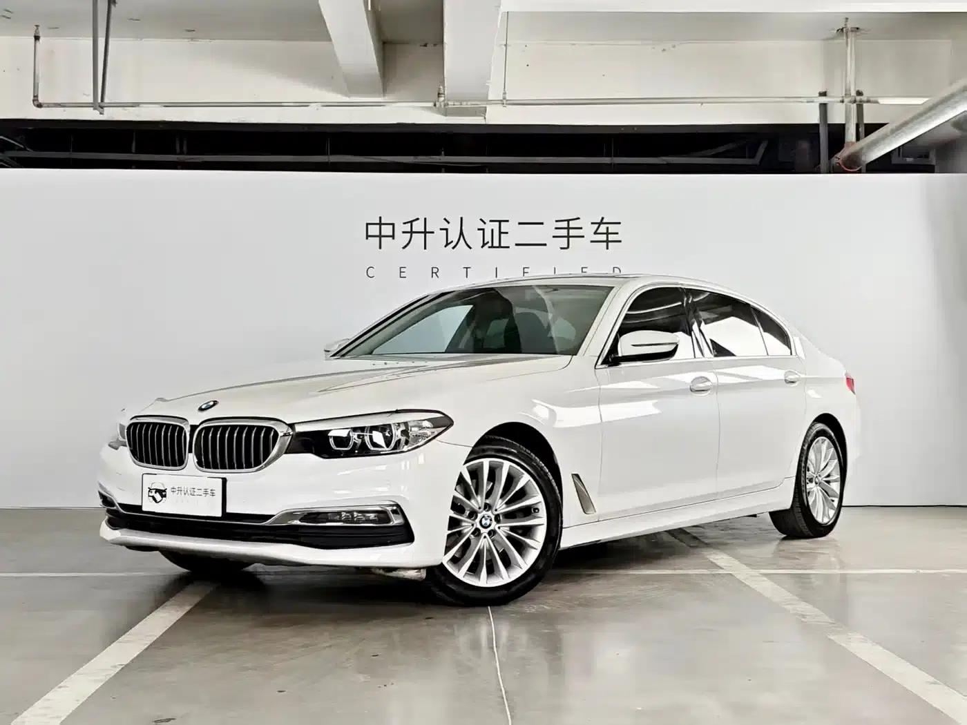2019 BMW 5 Series 525Li Luxury Package — миниатюра 1