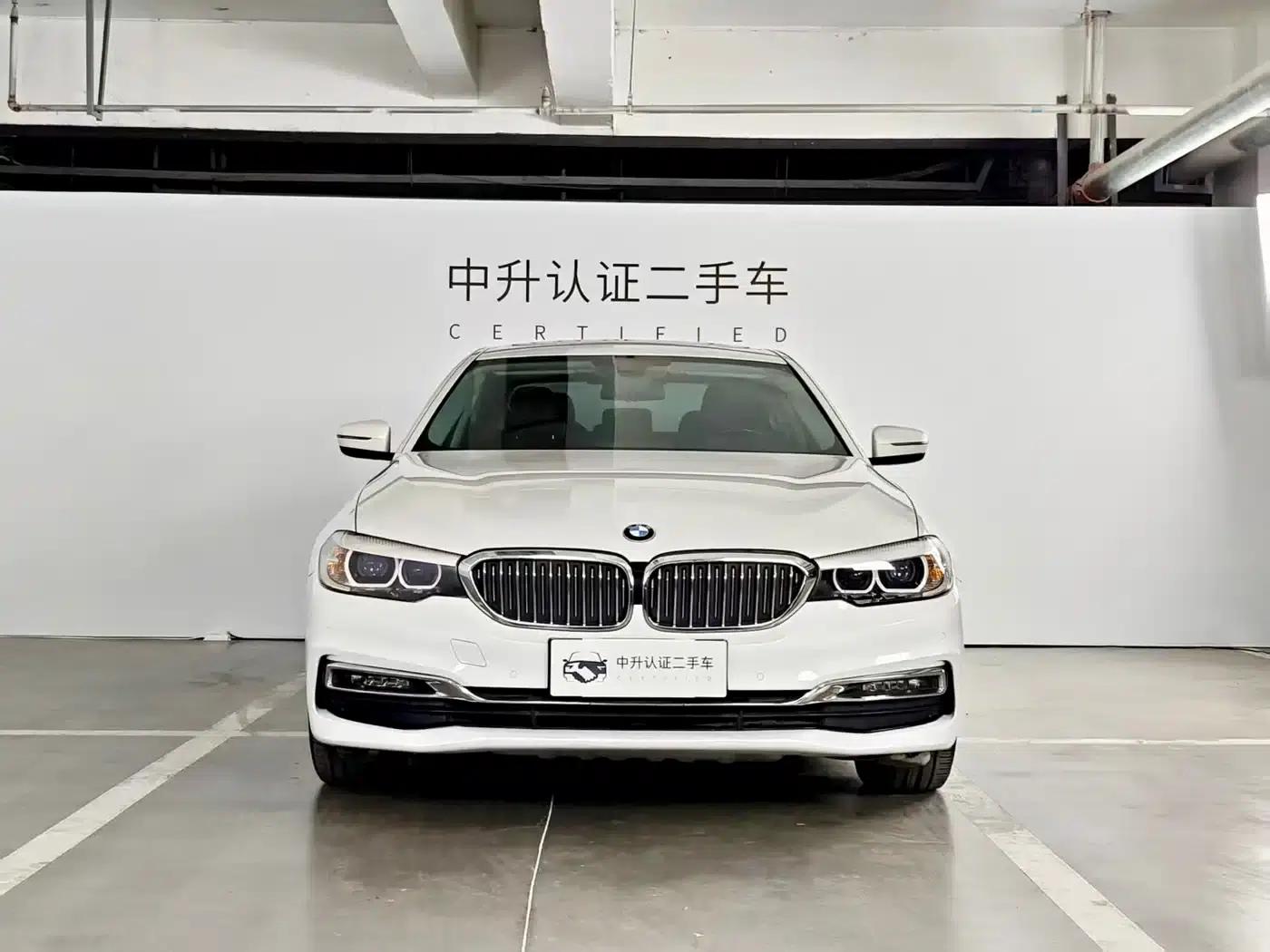 2019 BMW 5 Series 525Li Luxury Package — миниатюра 2