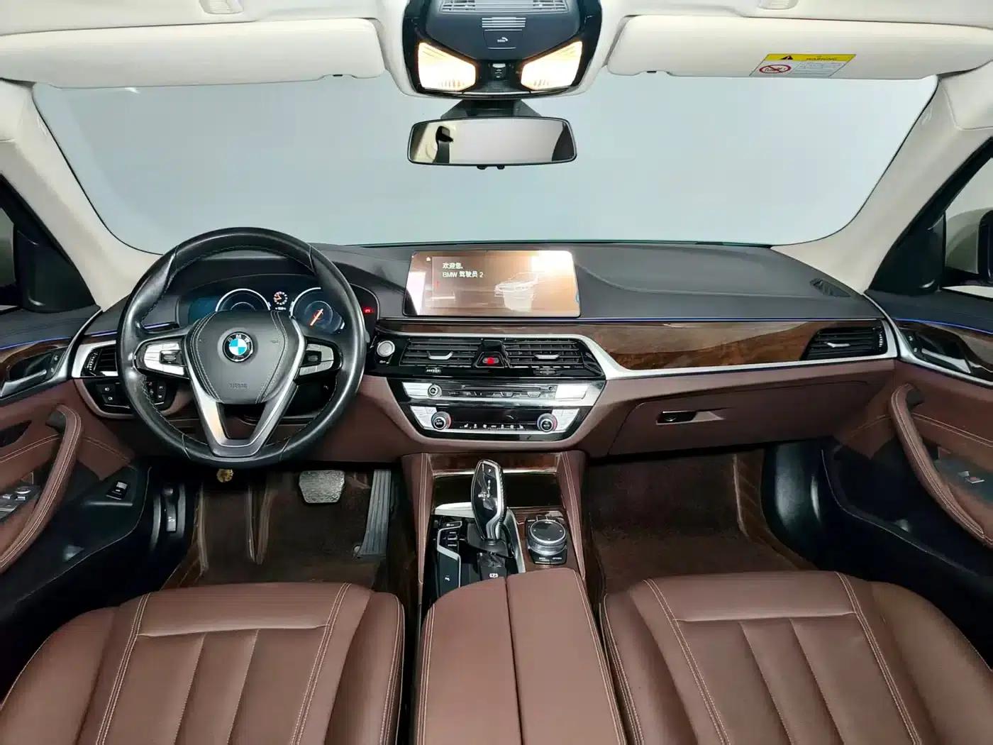 2019 BMW 5 Series 525Li Luxury Package — миниатюра 11