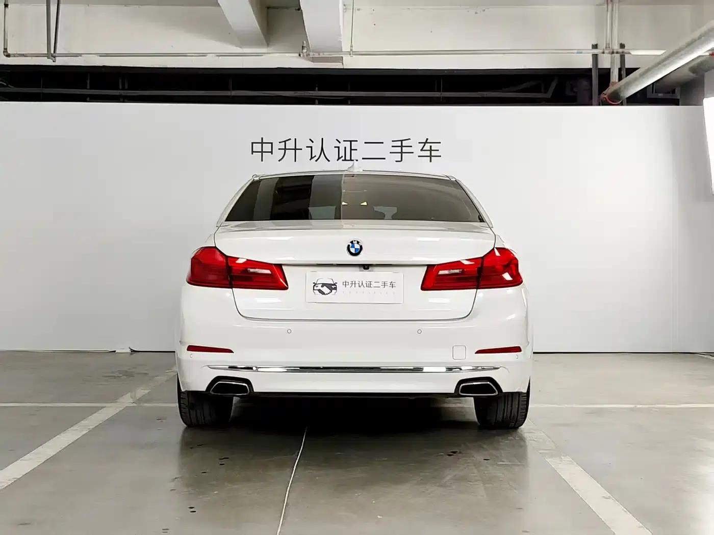 2019 BMW 5 Series 525Li Luxury Package — миниатюра 12