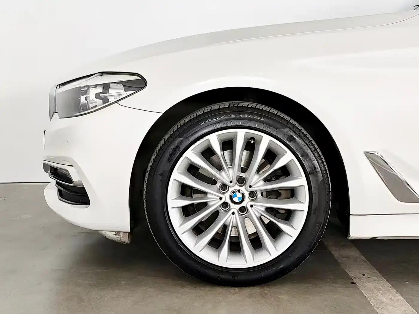 2019 BMW 5 Series 525Li Luxury Package — миниатюра 6