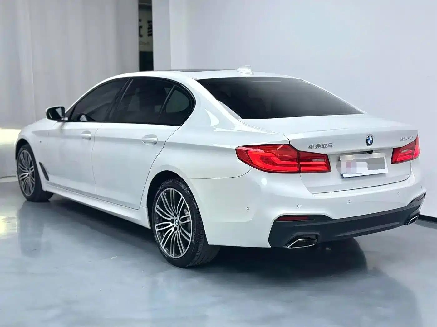 2019 BMW 5 Series 530Li Leading Edition M Sport Package — миниатюра 11