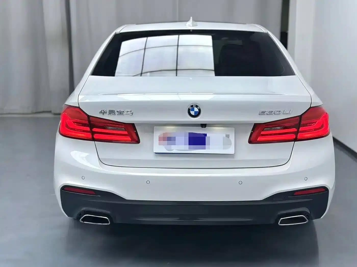 2019 BMW 5 Series 530Li Leading Edition M Sport Package — миниатюра 12