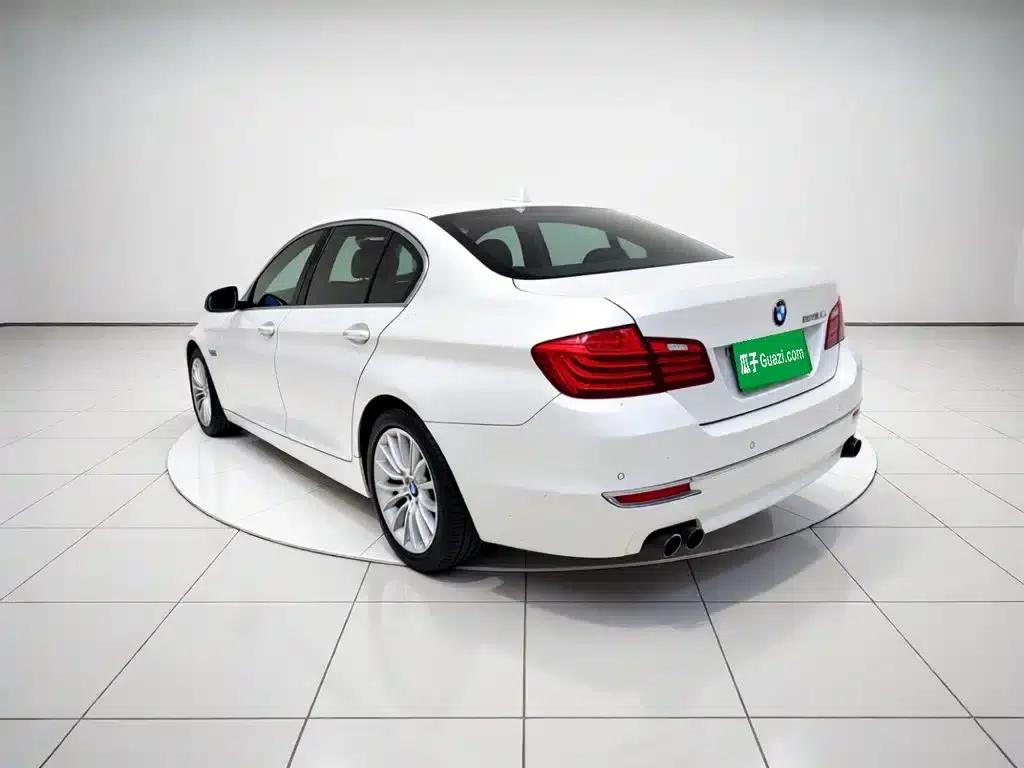 2017 BMW 5 Series 525Li Luxury Design Package — миниатюра 4