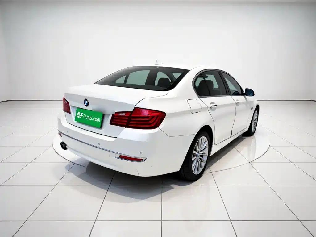2017 BMW 5 Series 525Li Luxury Design Package — миниатюра 6