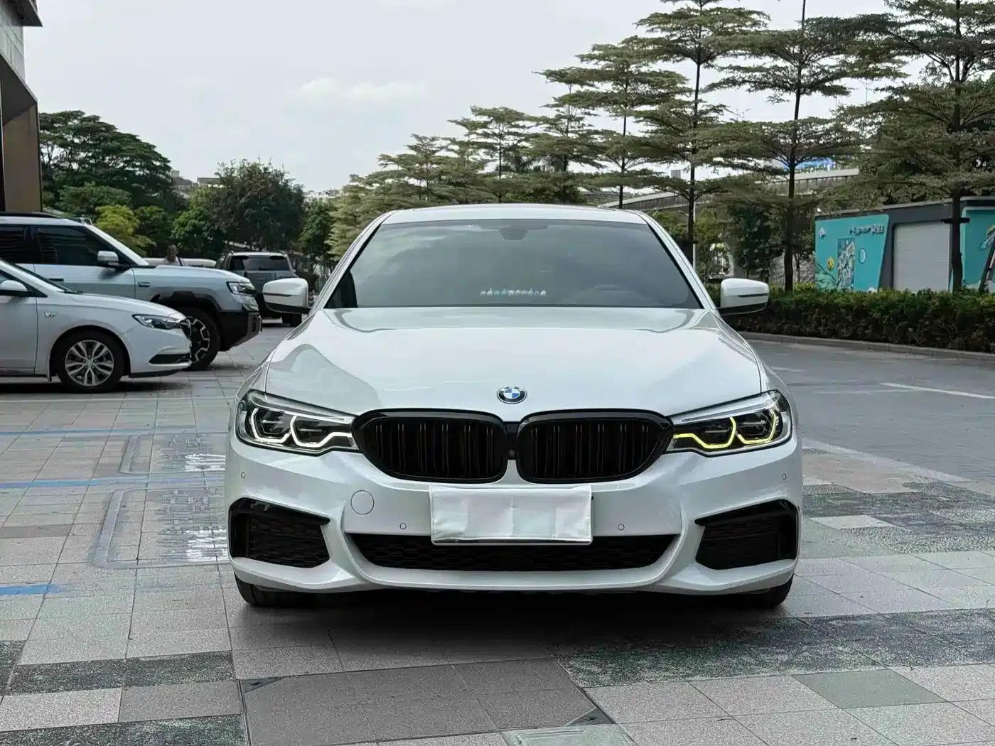 2020 BMW 5 Series 530Li Luxury M Sport Package — миниатюра 2