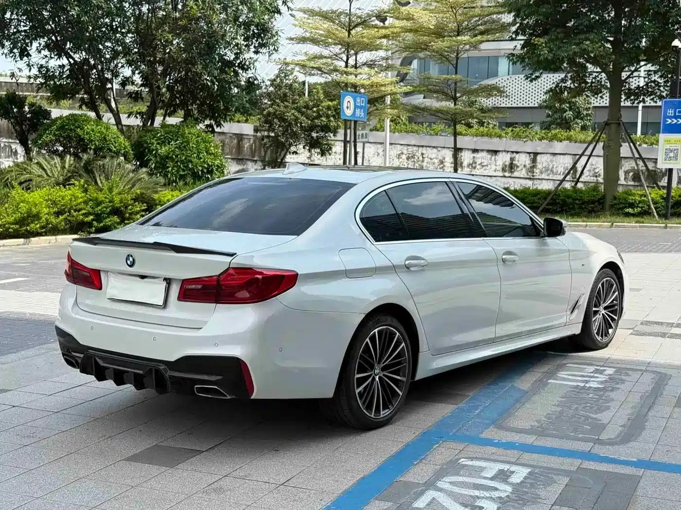 2020 BMW 5 Series 530Li Luxury M Sport Package — миниатюра 4