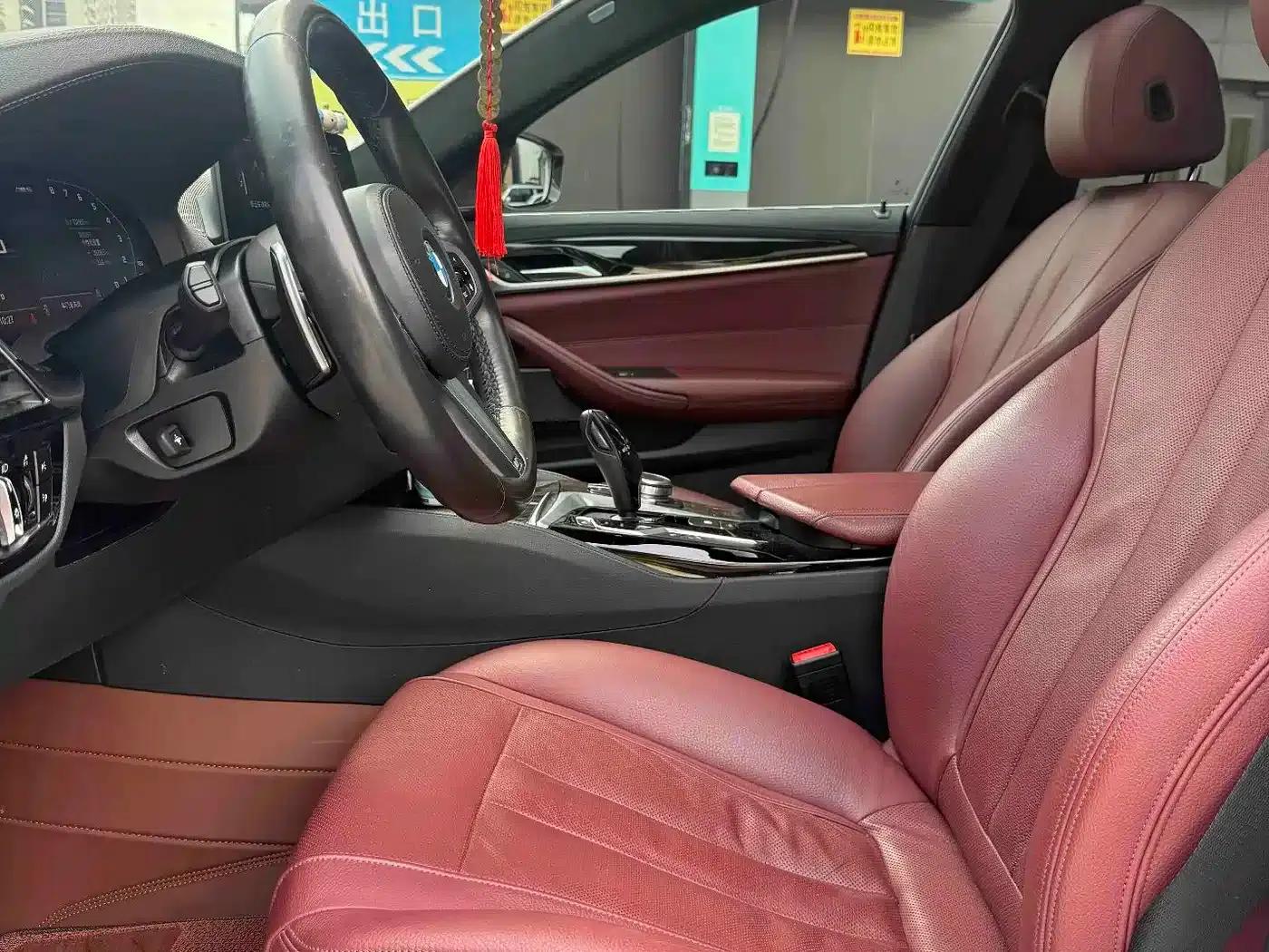 2020 BMW 5 Series 530Li Luxury M Sport Package — миниатюра 5
