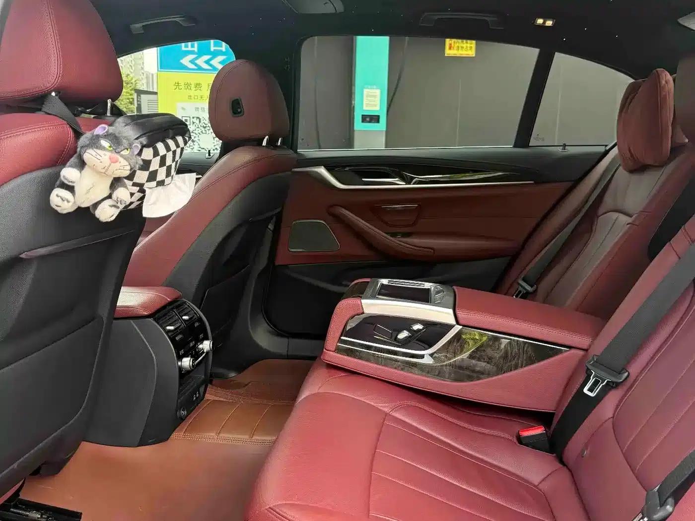 2020 BMW 5 Series 530Li Luxury M Sport Package — миниатюра 6