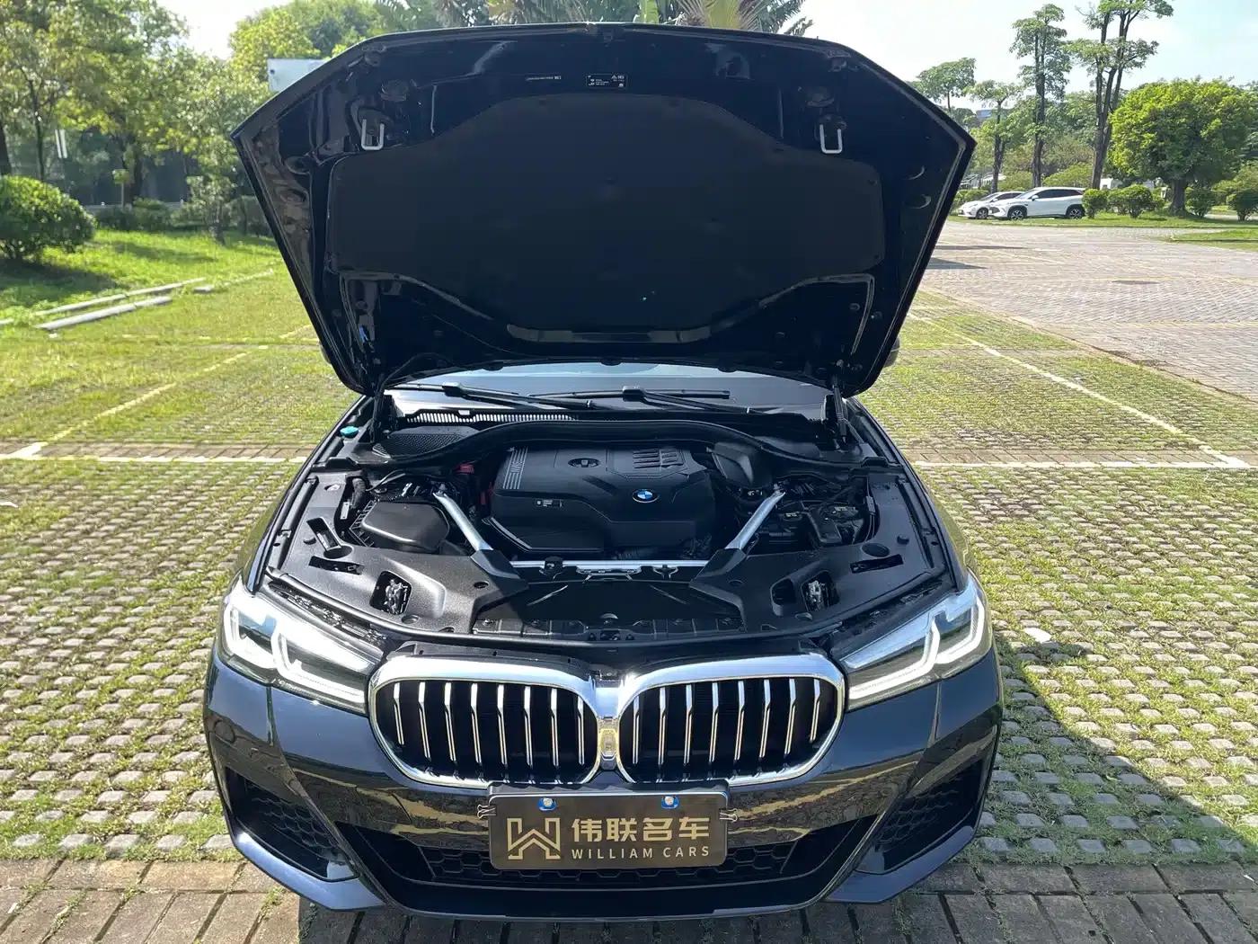 2021 BMW 5 Series Facelift 530Li xDrive M Sport Package — миниатюра 19