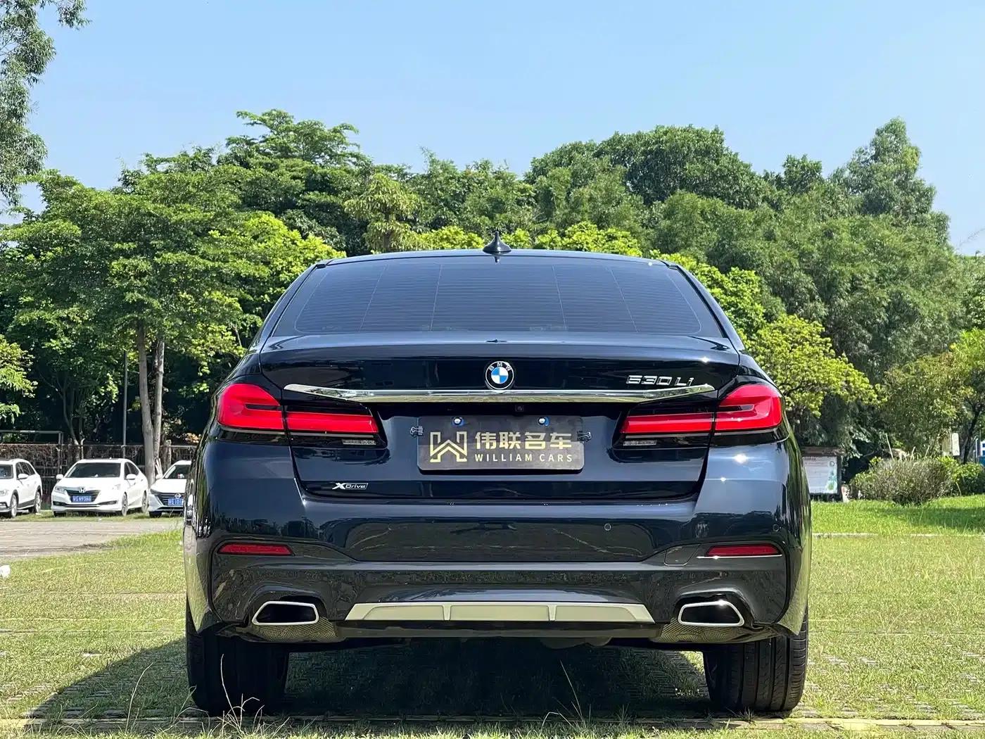 2021 BMW 5 Series Facelift 530Li xDrive M Sport Package — миниатюра 5