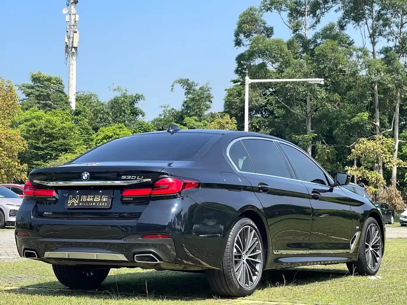 2021 BMW 5 Series Facelift 530Li xDrive M Sport Package — миниатюра 6