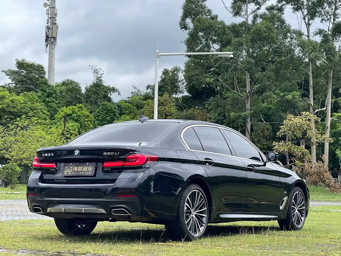 2023 BMW 5 Series 530Li Leading Edition M Sport Package — миниатюра 6