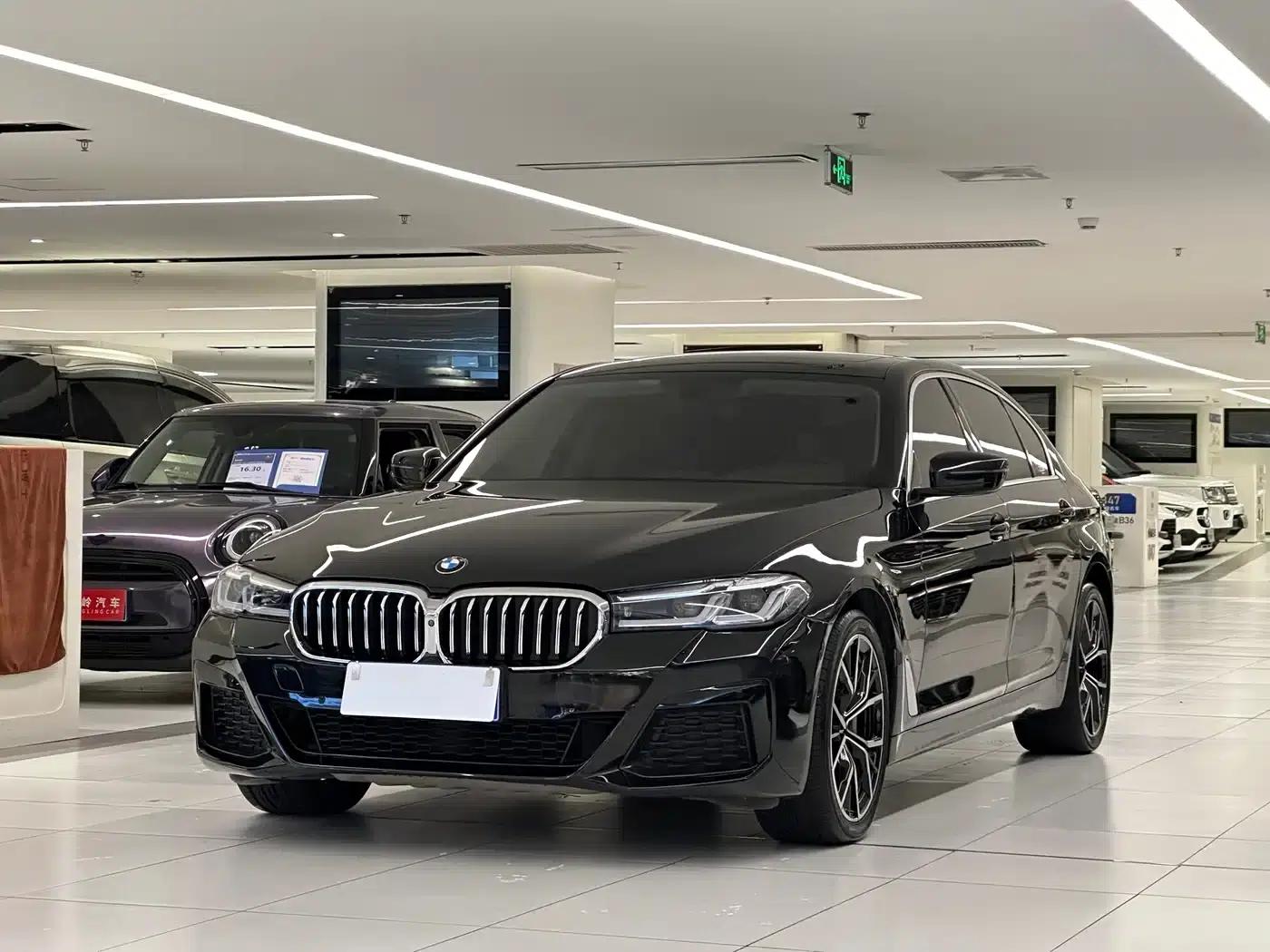 BMW 5 Series 2020 530Li Luxury Package — миниатюра 1