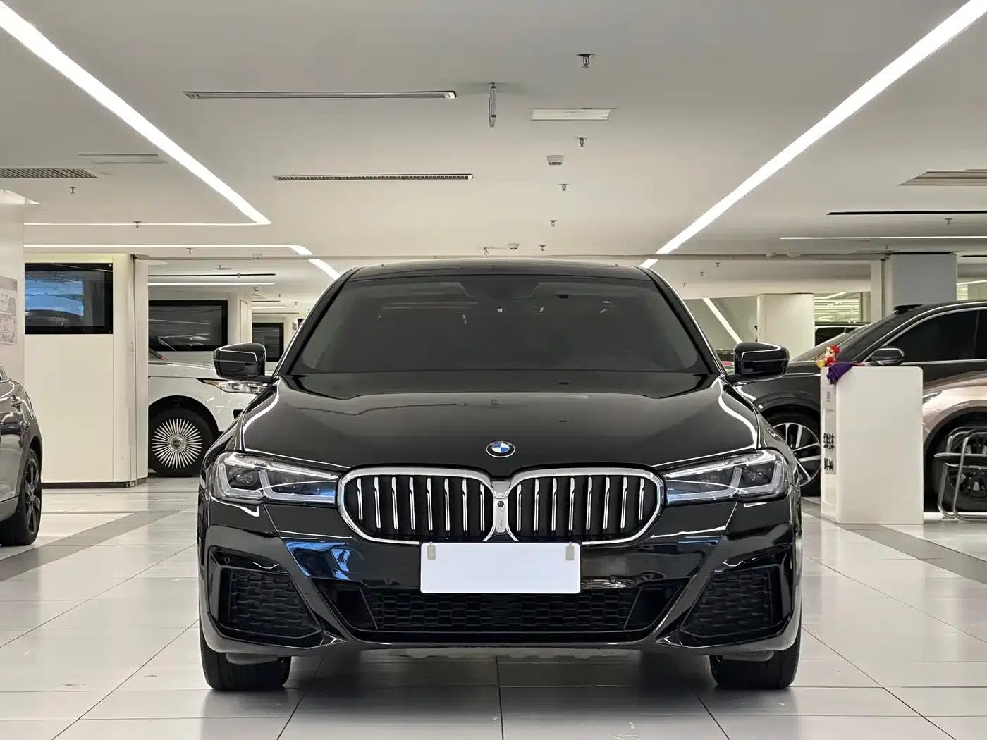 BMW 5 Series 2020 530Li Luxury Package — миниатюра 2