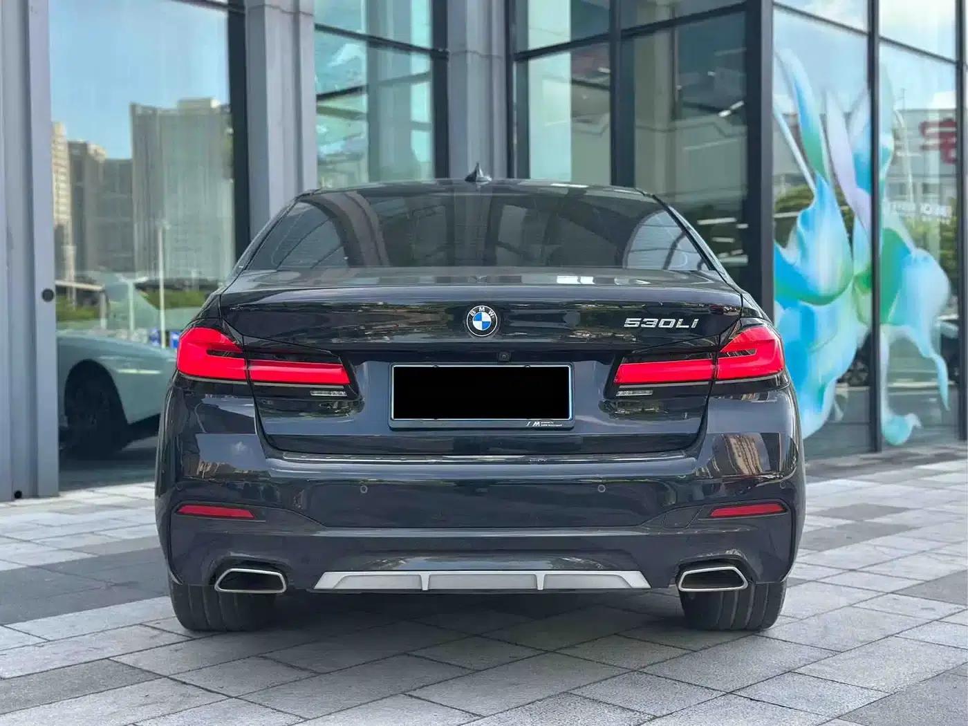 2022 BMW 5 Series 530Li Luxury M Sport Package — миниатюра 5