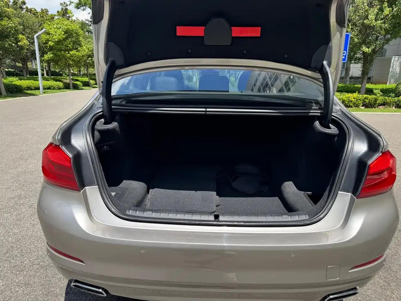 BMW 5 Series 2018 528Li Launch Special Edition — миниатюра 8