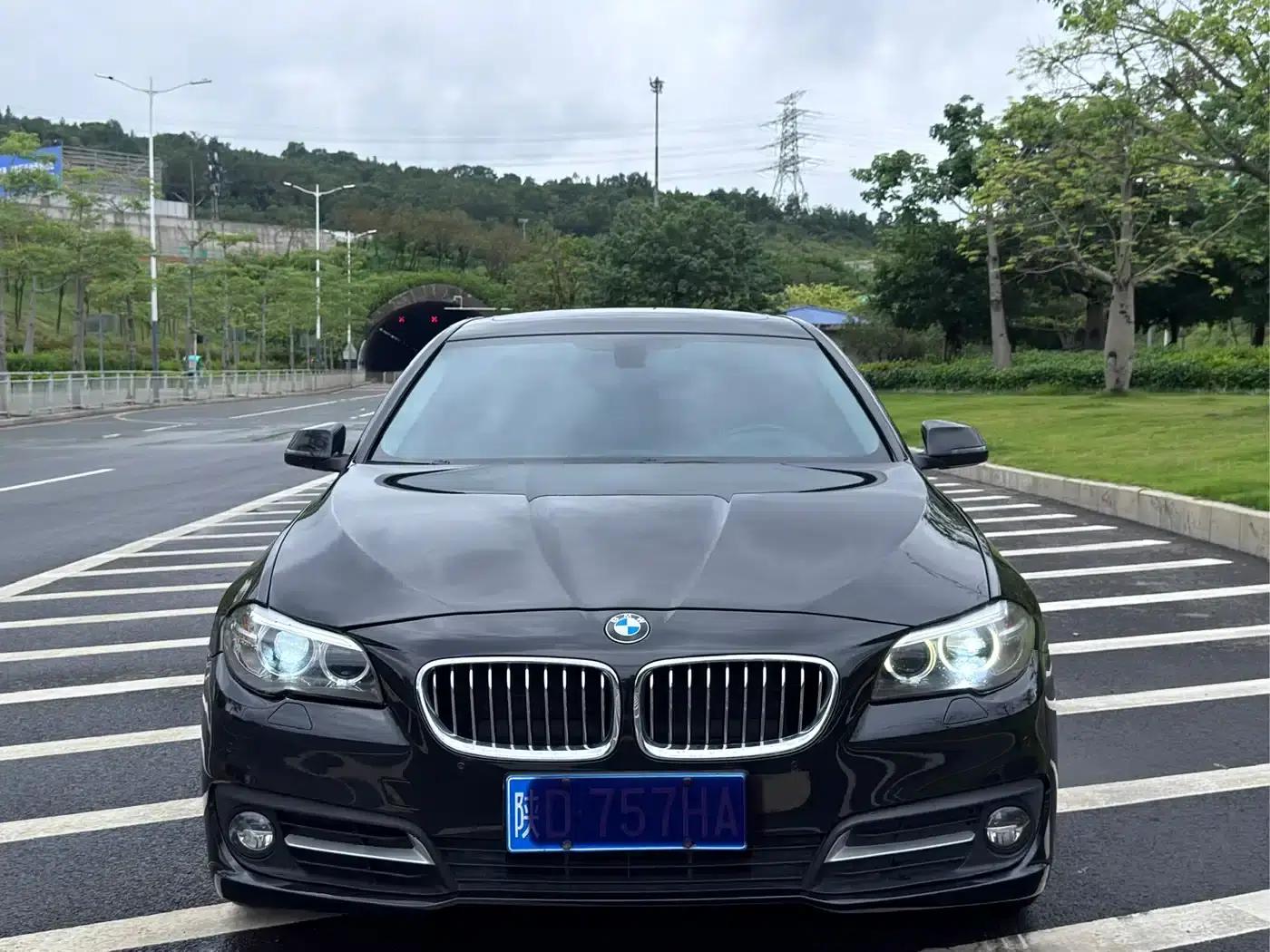 2014 BMW 5 Series Imported Model 520i Elegant Edition — миниатюра 2