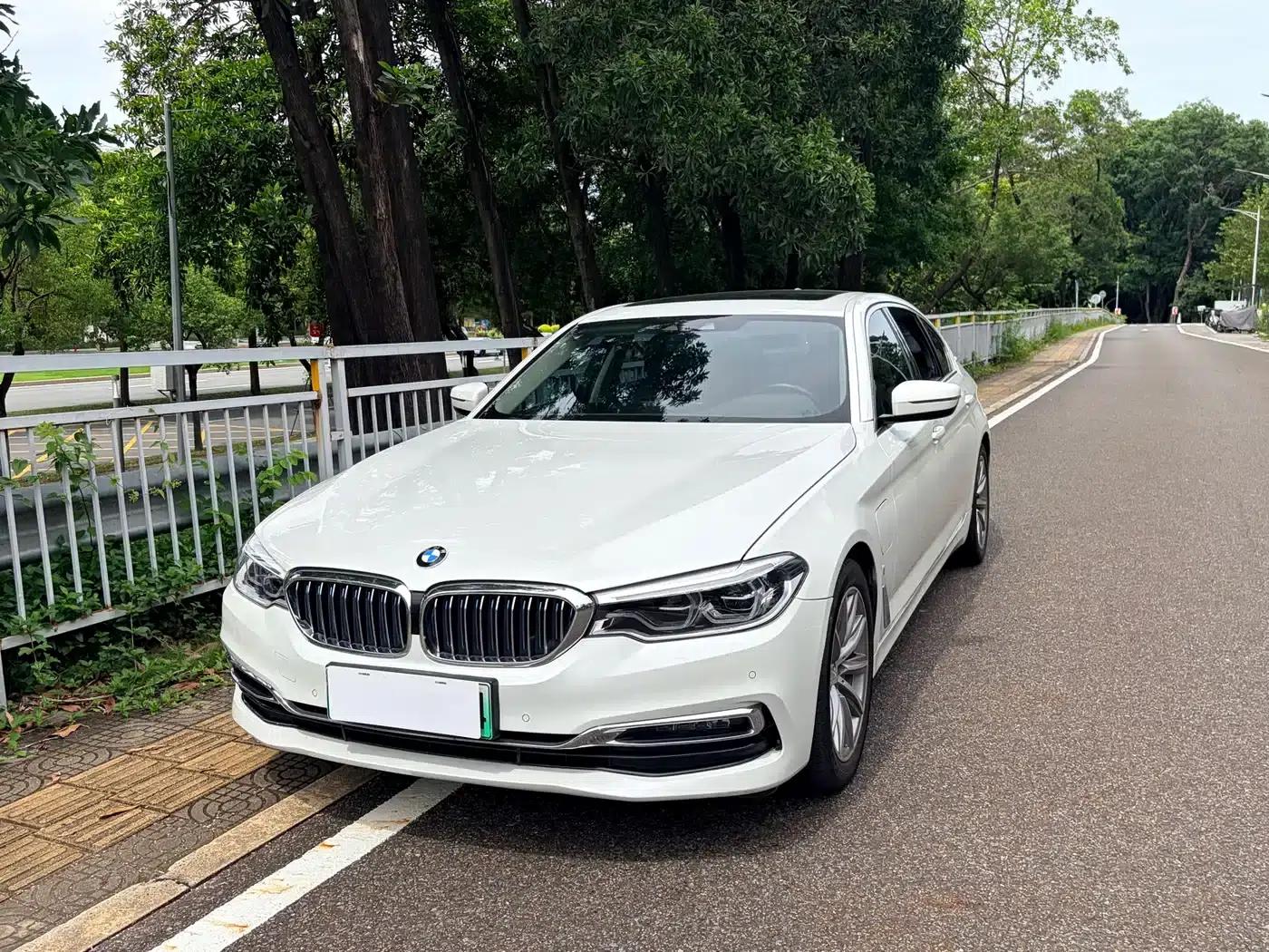 BMW 5 Series PHEV 2019 530Le Luxury Package — миниатюра 12