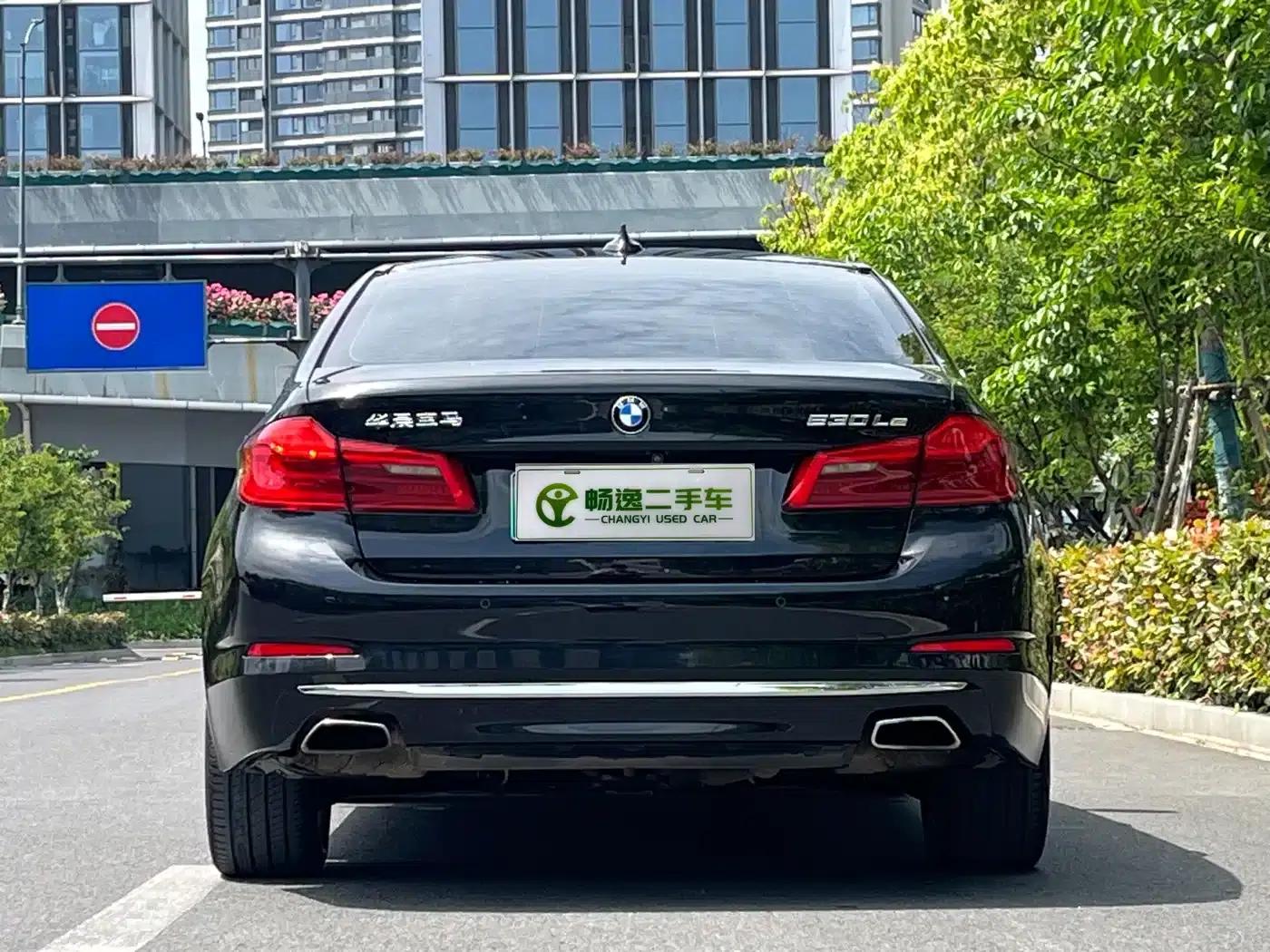 BMW 5 Series PHEV 2019 Facelift 530Le Luxury Package — миниатюра 4