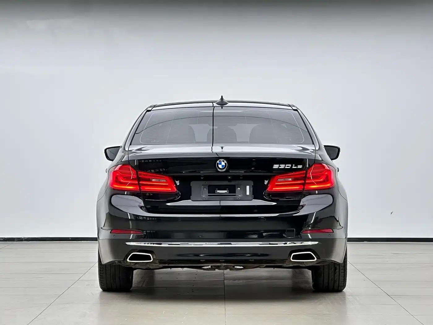 BMW 5 Series PHEV 2019 Facelift 530Le Luxury Package — миниатюра 4