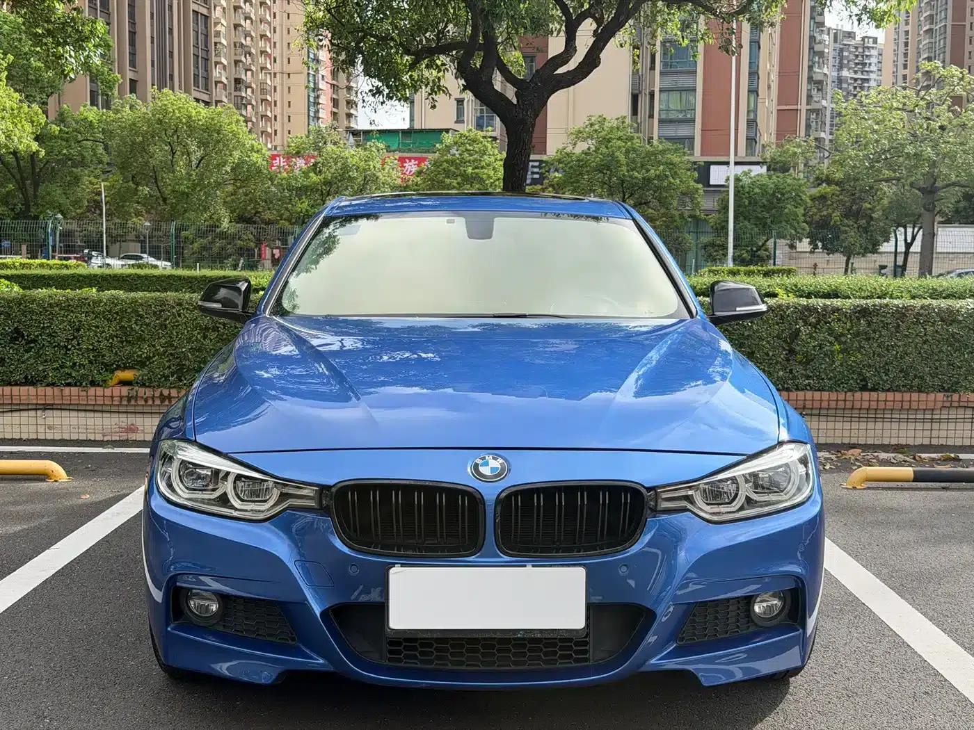 2017 BMW 3 Series 320Li M Sport — миниатюра 2