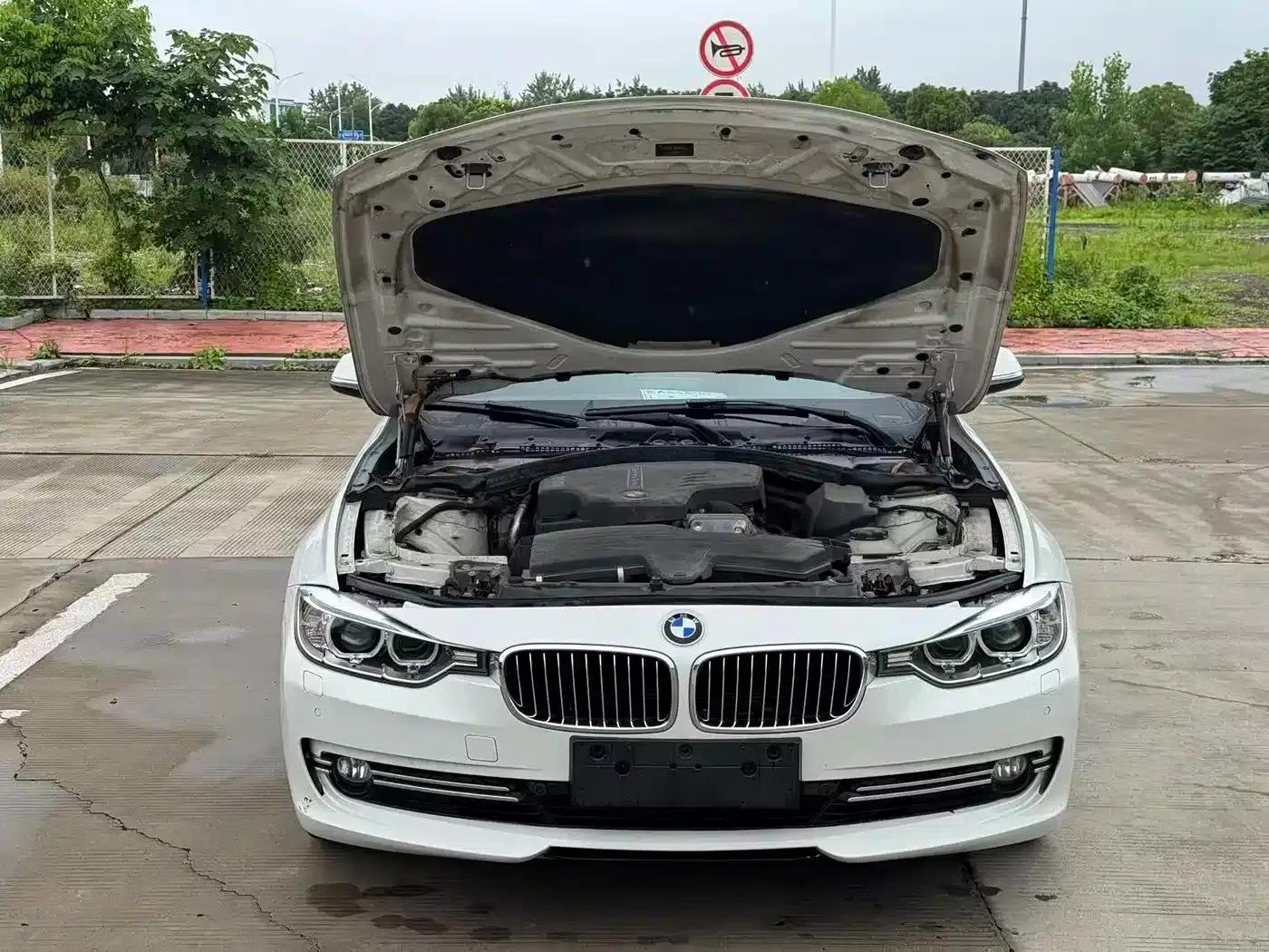 2015 BMW 3 Series 320Li Luxury Design Package — миниатюра 7