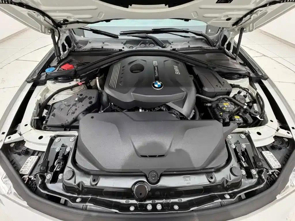 2018 BMW 3 Series 320Li M Sport Shadow Edition — миниатюра 18