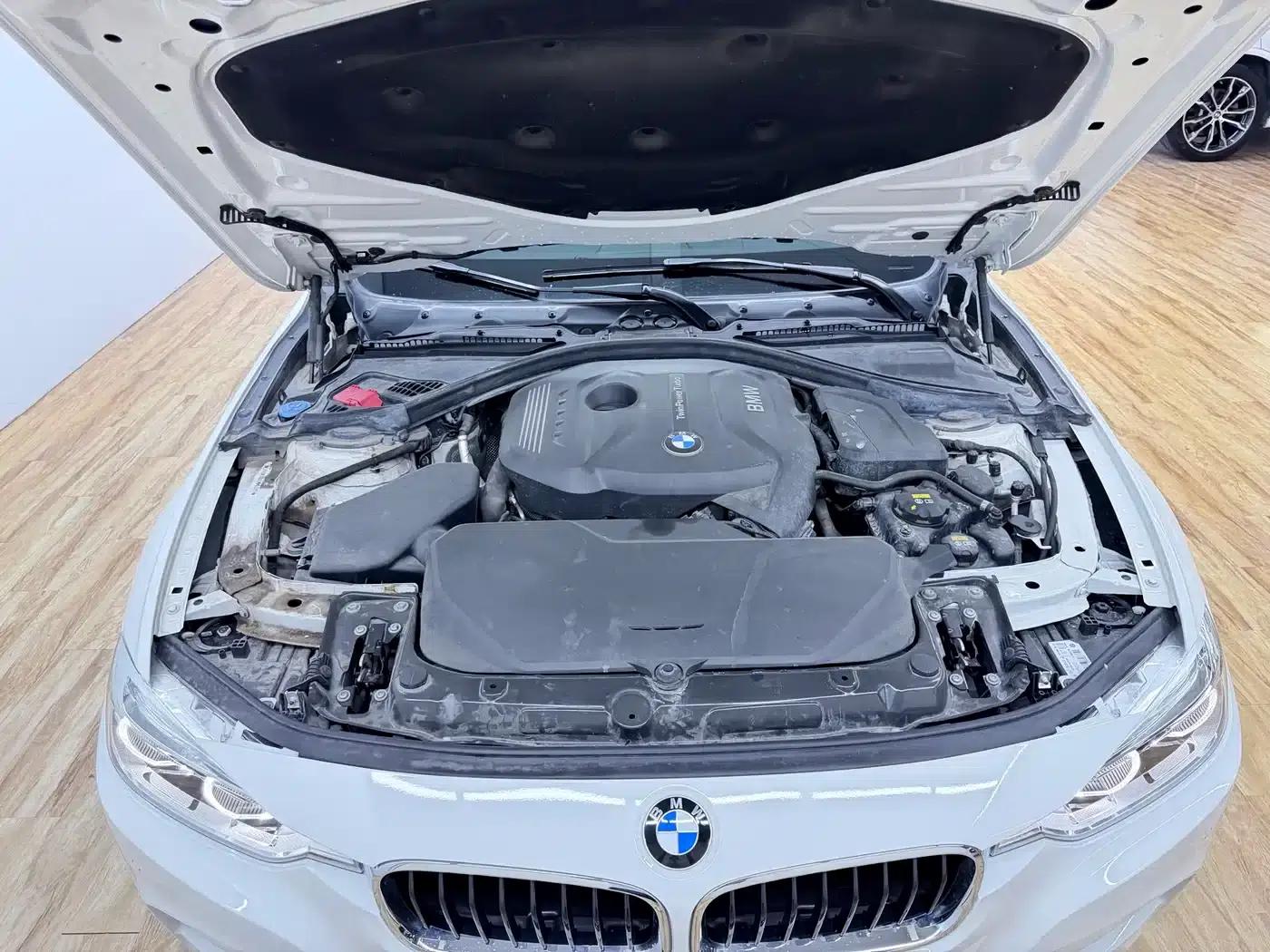 2018 BMW 3 Series 320Li Leading M Sport Package — миниатюра 25