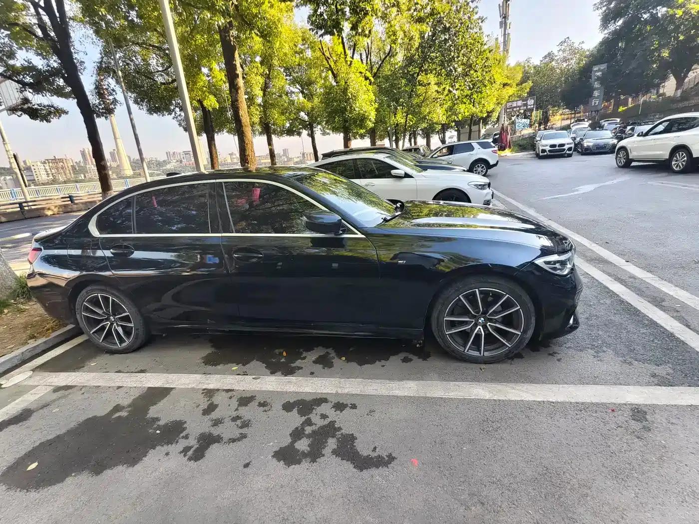 2021 BMW 3 Series 320Li M Sport Package — миниатюра 4