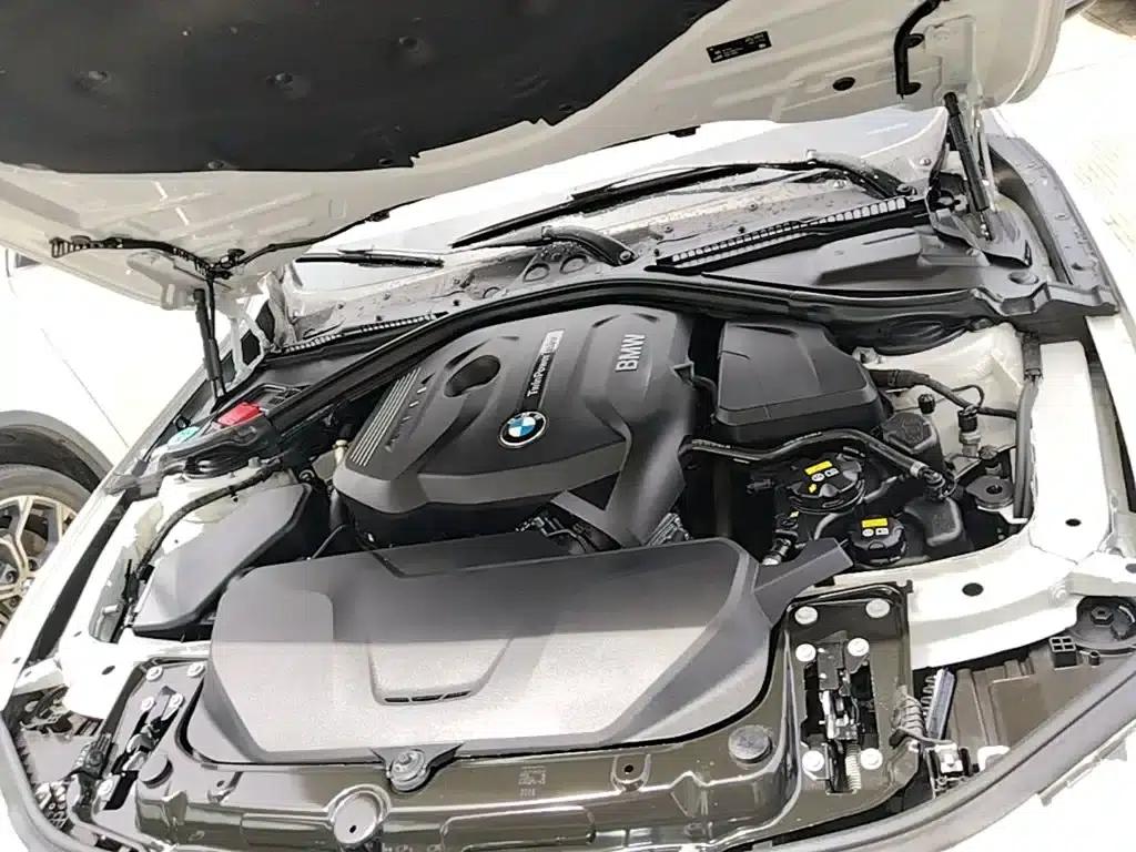 BMW 3 Series 2019 320Li Fashion Edition — миниатюра 20