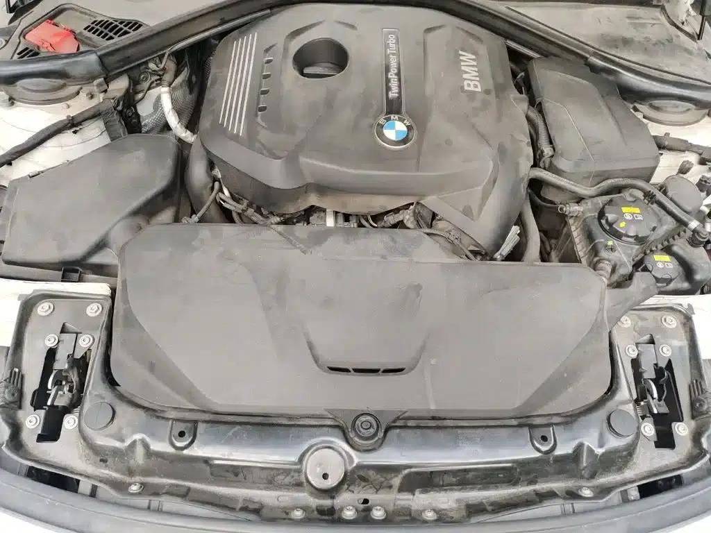 2018 BMW 3 Series 320Li Leading M Sport Package — миниатюра 11