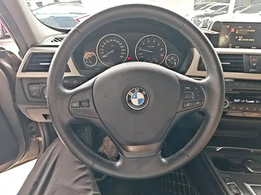 2016 BMW 3 Series 320Li Progressive — миниатюра 11
