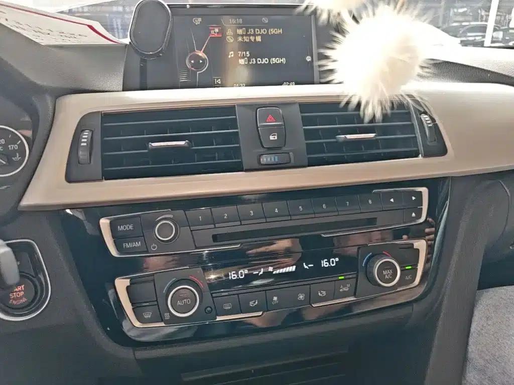 2016 BMW 3 Series 320Li Progressive — миниатюра 13
