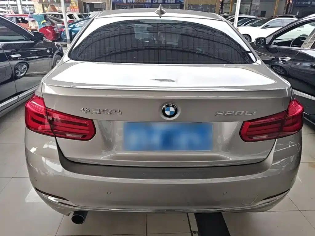 2016 BMW 3 Series 320Li Progressive — миниатюра 6