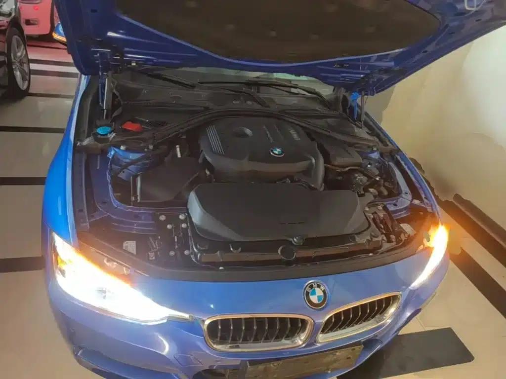 2017 BMW 3 Series 320Li M Sport — миниатюра 20