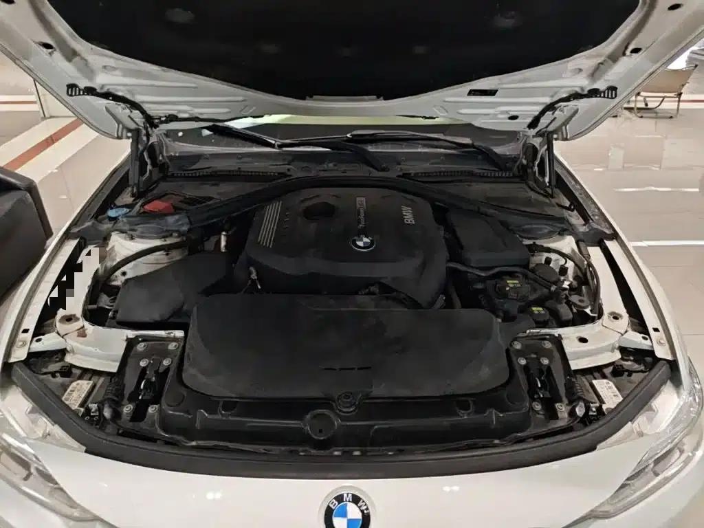 2017 BMW 3 Series 320Li Fashion Edition — миниатюра 16