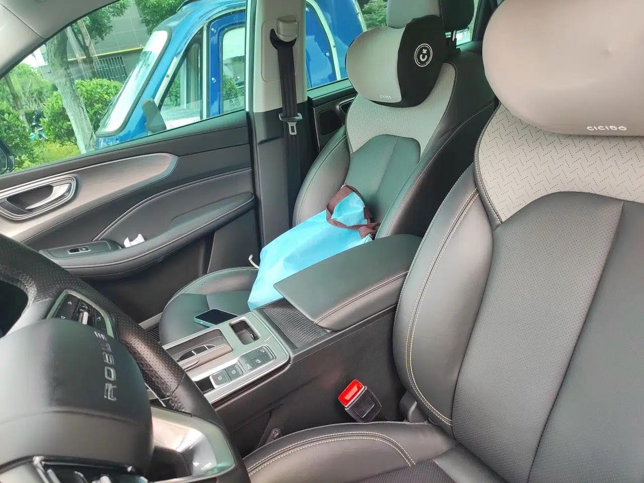 Roewe RX5 2020 PLUS 300TGI Automatic Ali National Style Ronglin Edition — миниатюра 15