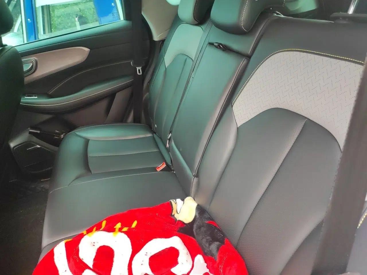 Roewe RX5 2020 PLUS 300TGI Automatic Ali National Style Ronglin Edition — миниатюра 17