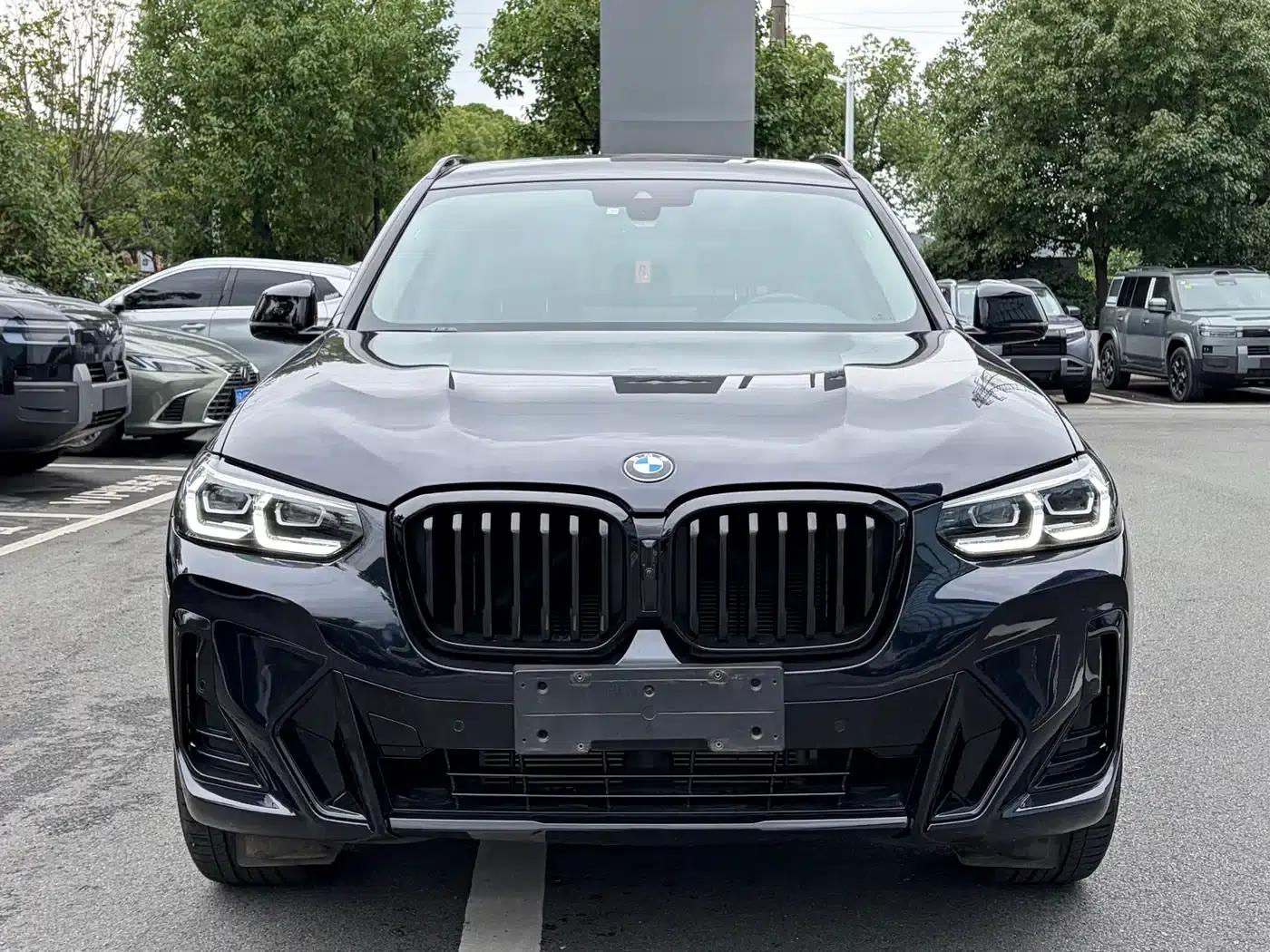 BMW X3 2023 xDrive30i Leading Edition M Sport Package — миниатюра 2