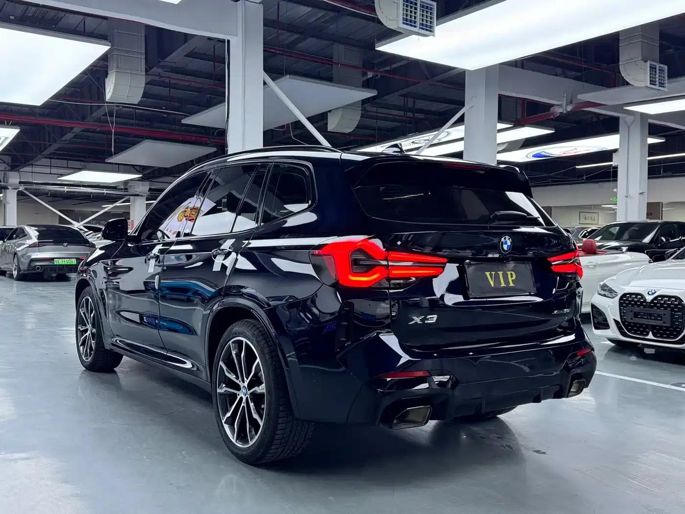 BMW X3 2023 xDrive30i Leading Edition M Sport Package — миниатюра 15
