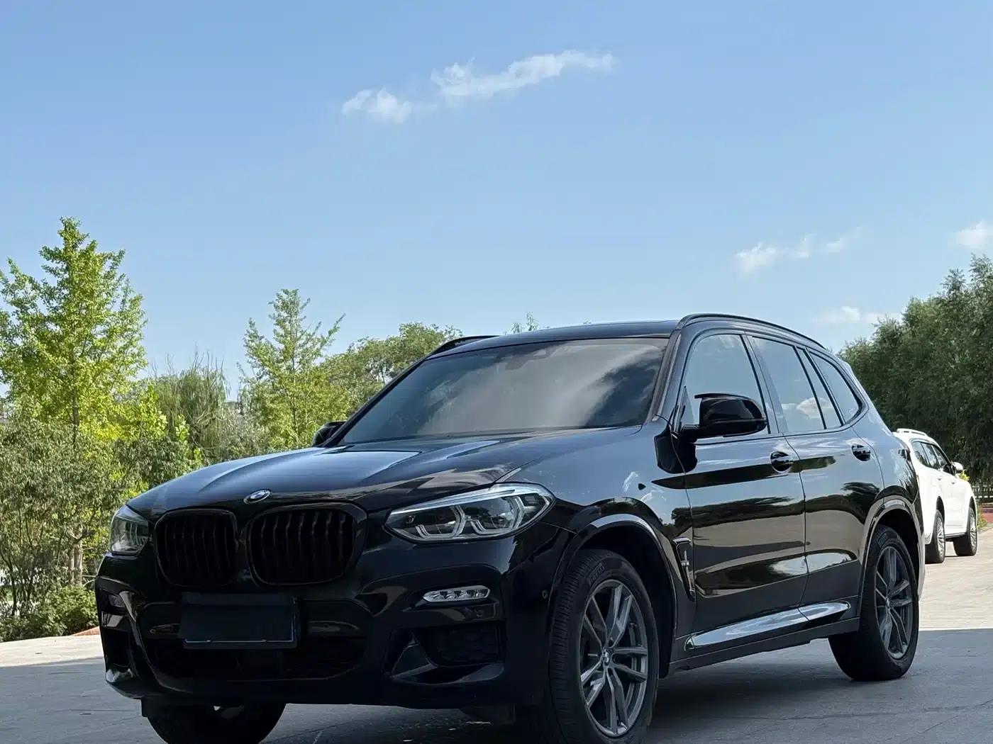 BMW X3 2018 xDrive30i Leading M Sport Package (China V Emission Standard) — миниатюра 3